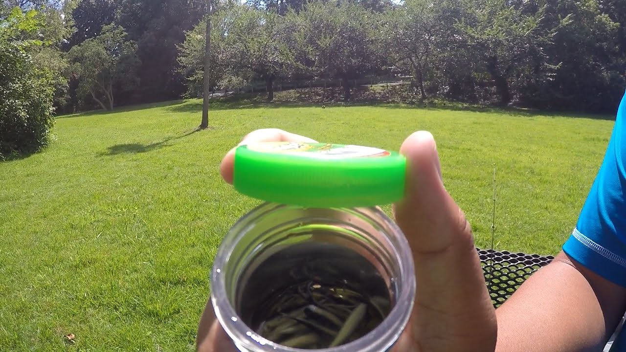 СПОСОБ ПРИМЕНЕНИЯ: Ловить на живца 2,5-сантиметровую рыбу Berkley Gulp! Alive Minnow (Хэддонфилд,...