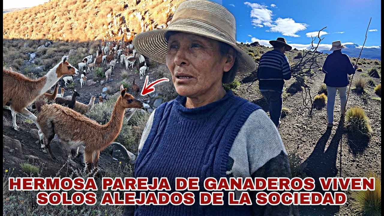 Sobreviven AISLADOS al PIE de un VOLCAN Pastando a su GANADO