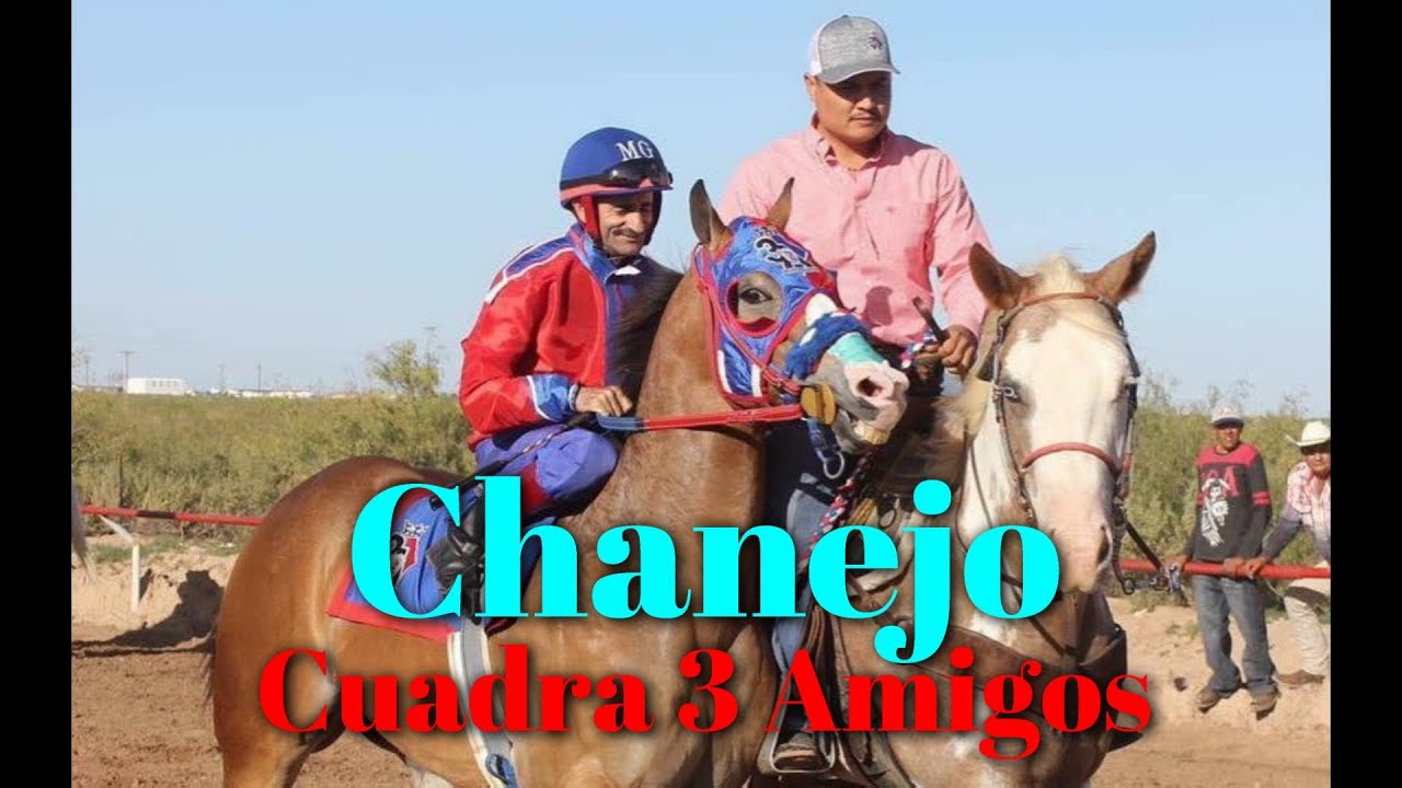 CHANEJO   2a Parte