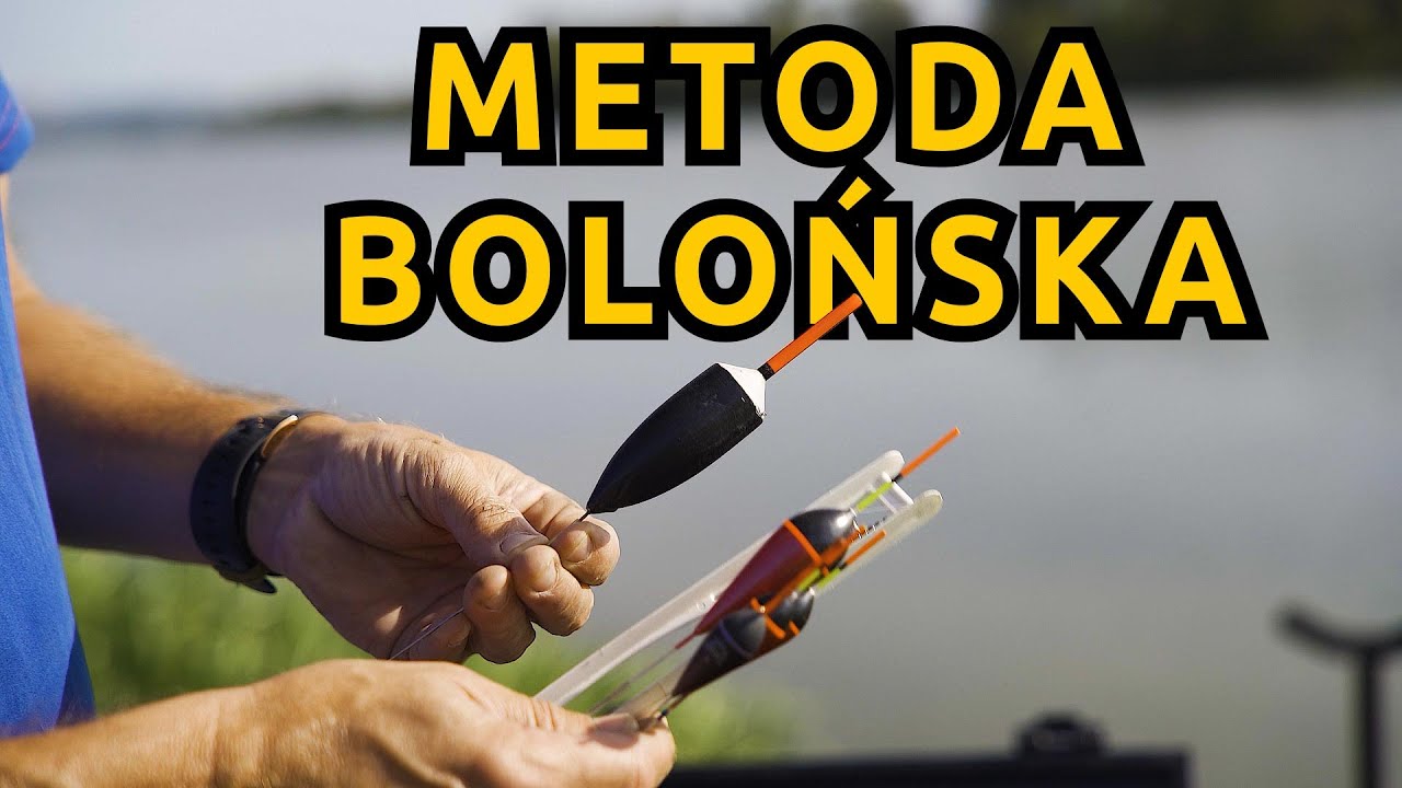 jak łowić na BOLONKĘ ?