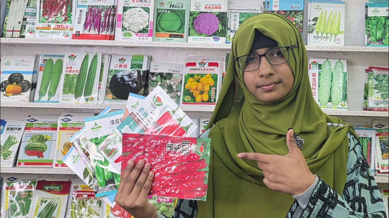 যারা চান দ্রুত গ্রোথ আর সুন্দর সবজি, তাদের প্রথম পছন্দ চায়না বীজ 🌱✨
