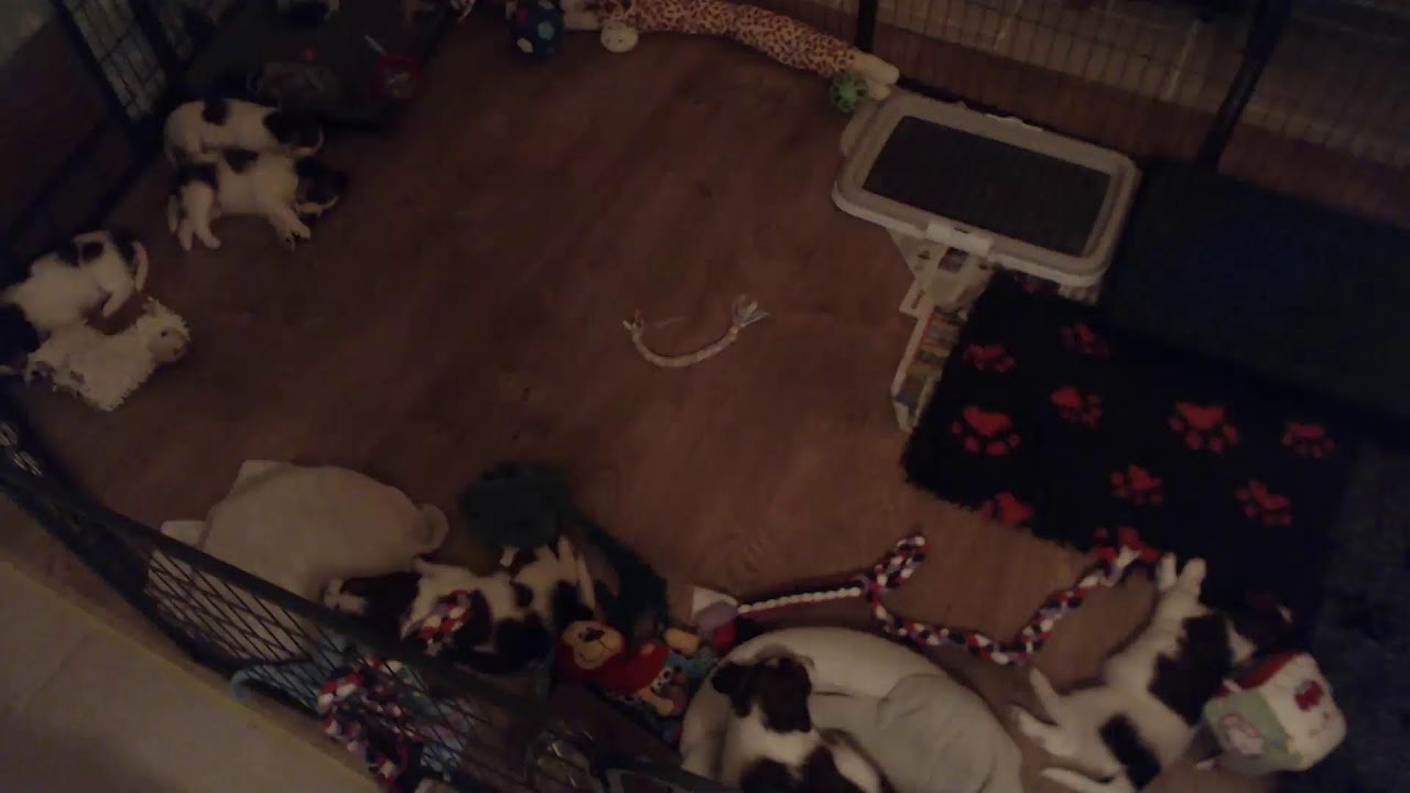 Donderdag 30 december 2025 - avond