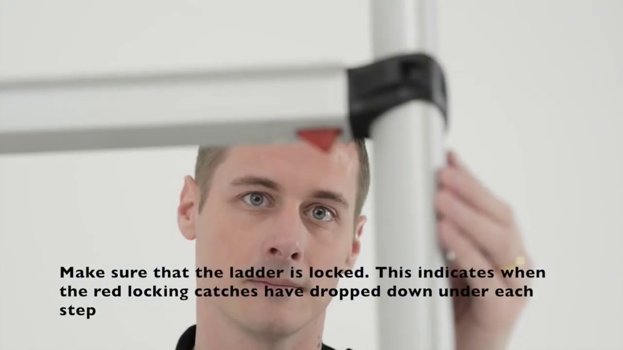 Telesteps Pro Extension Ladder
