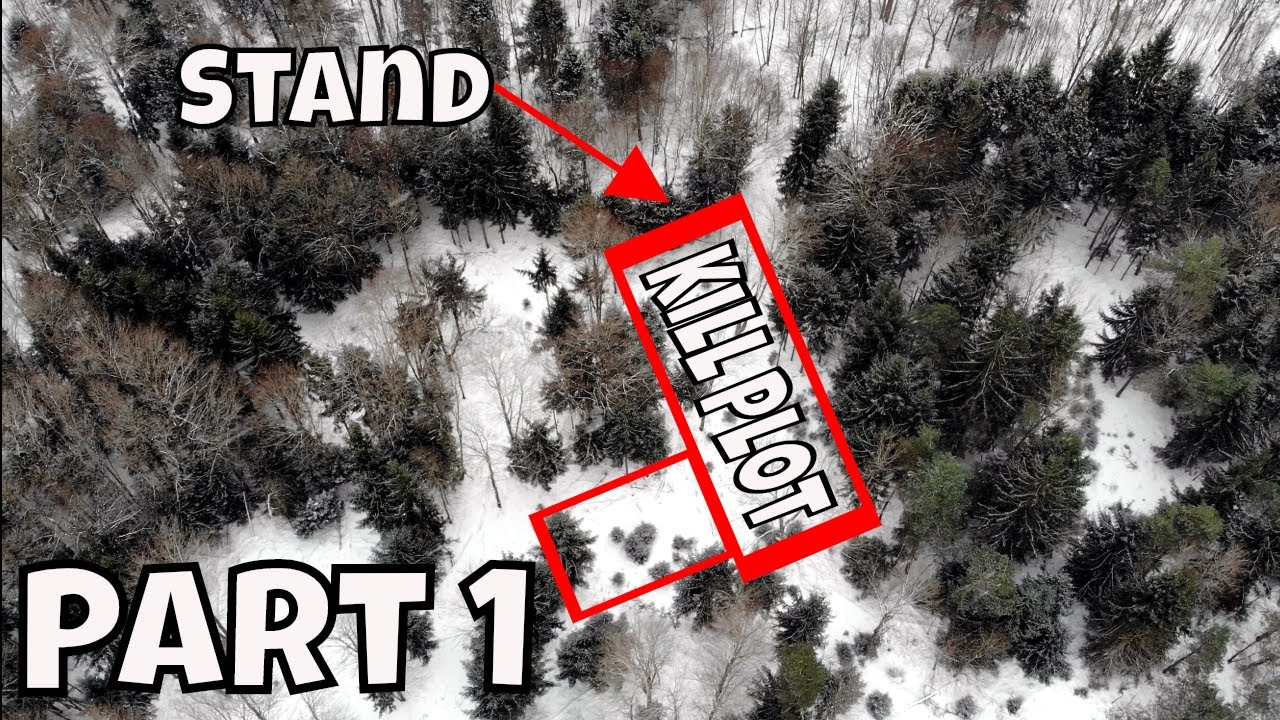 CREATING DEER FOOD PLOTS IN THE WOODS *LOCATION/PLAN*