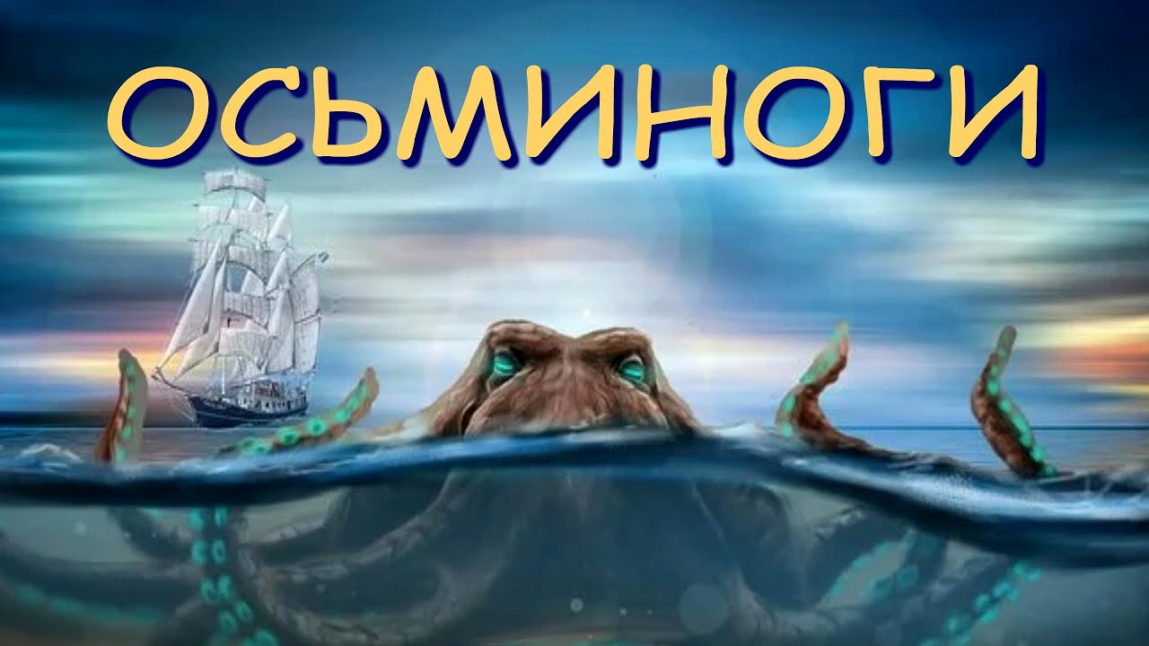 Осьминоги: земные инопланетяне| Познавательное видео про осьминогов| Удивительный мир беспозвоночных