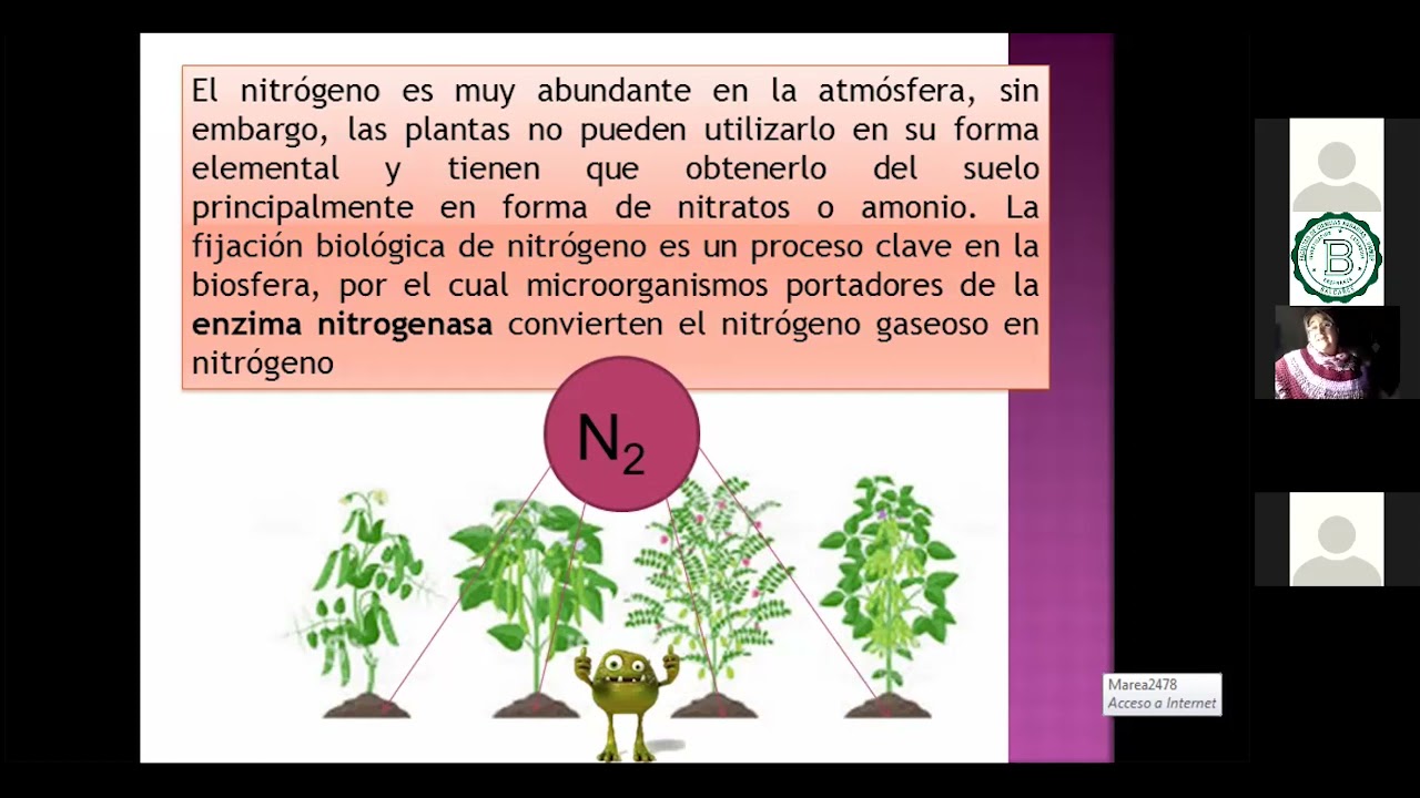 Suelo vivo, biología del suelo