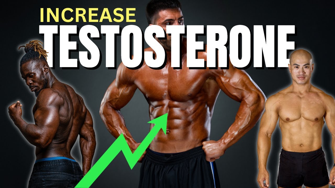Exploring the Link Between Aggression, Stress, and Testosterone in Combat Sports