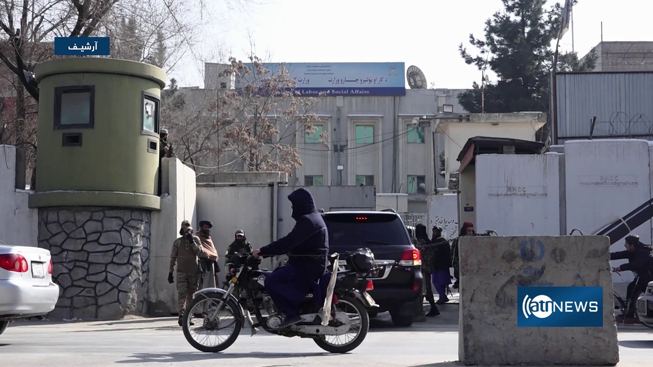 80,000 work permits granted so far this year | صدور حدود ۸۰هزار جواز کار از شروع سال تا کنون