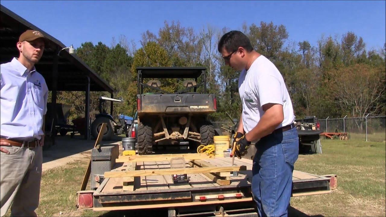 Как построить ловушку-гильотину для диких свиней
