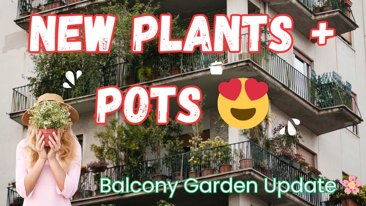 Saving My Plants 😢🌱 + Pots Shopping at Leroy Merlin