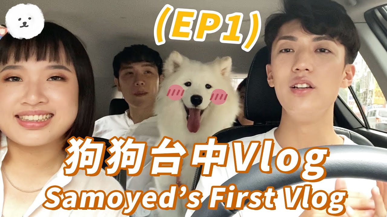 【南瓜PUMPKIN】激推！寵物友善餐廳&民宿！狗狗台中Vlog EP1 (薩摩耶Samoyed)
