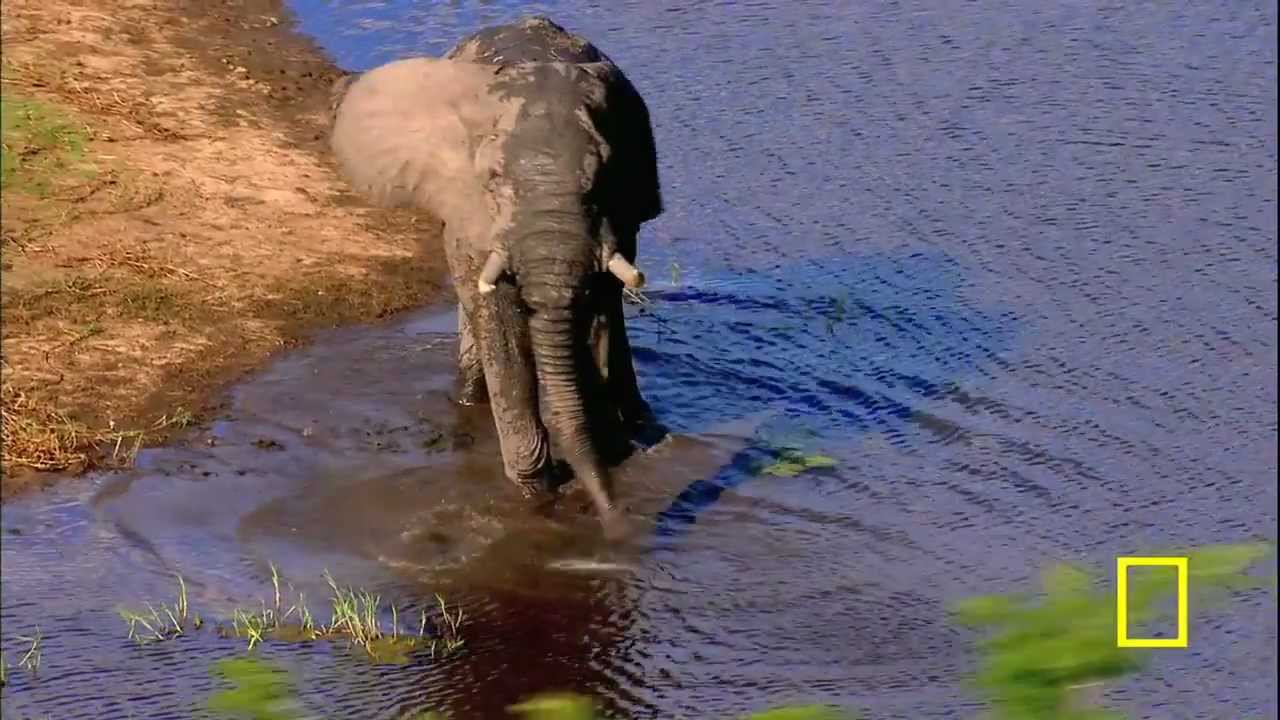 Gorongosa National Park - Promo