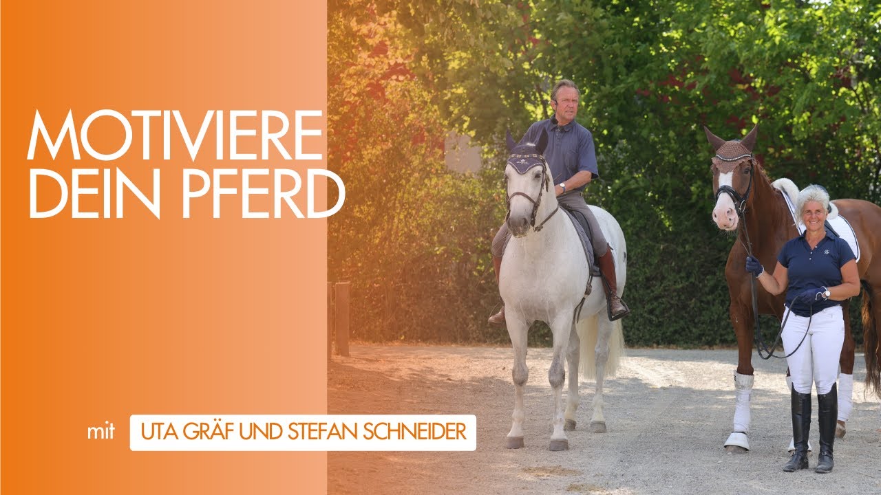 Motiviere dein Pferd- Uta Gräf und Stefan Schneider im Interview