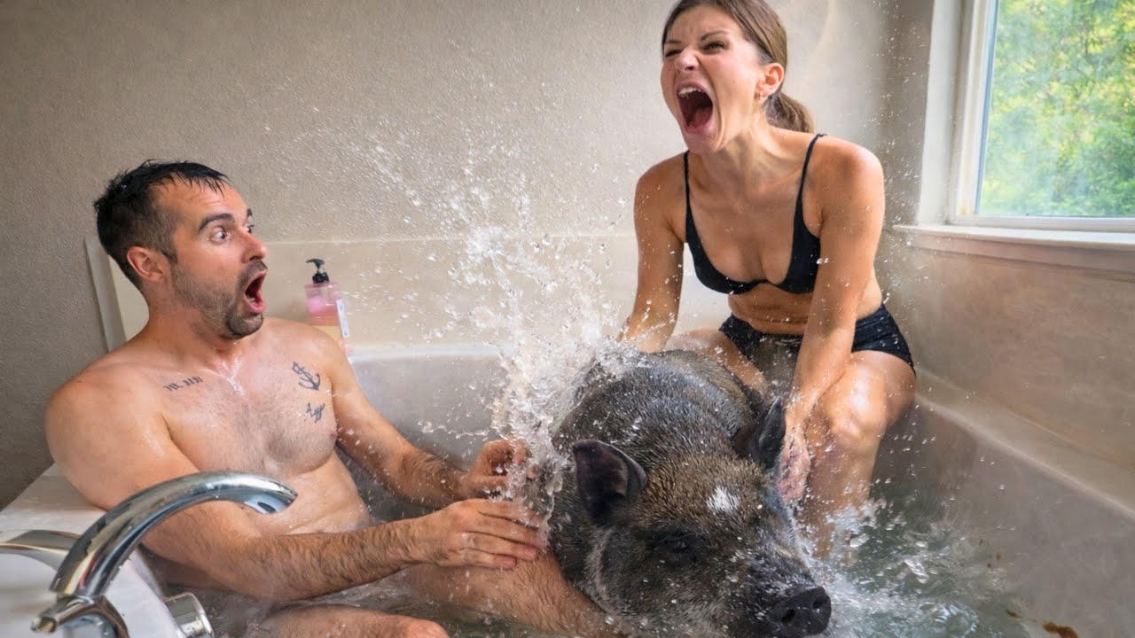 Weekly Funny Viral Videos Compilation - Feb 11, 2026