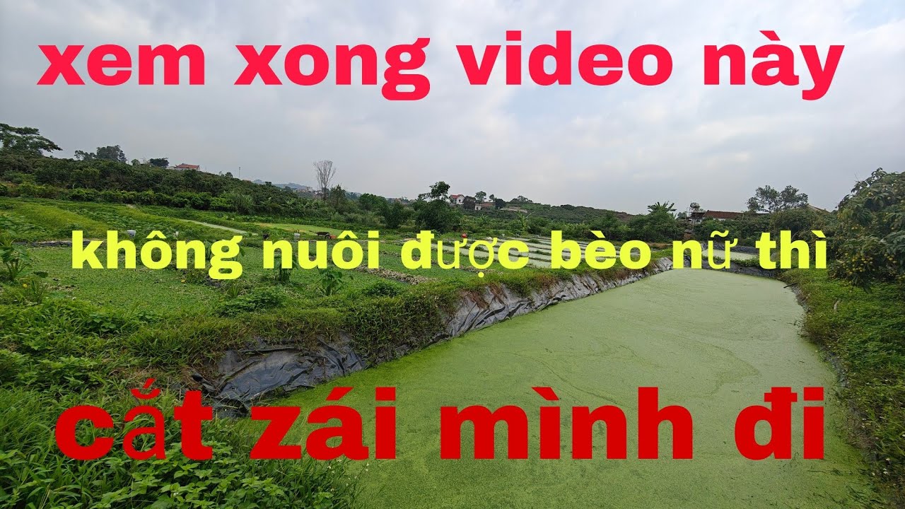 Bài học  đơn giản nhưng quan trọng nhất khi nuôi ốc !!!!
