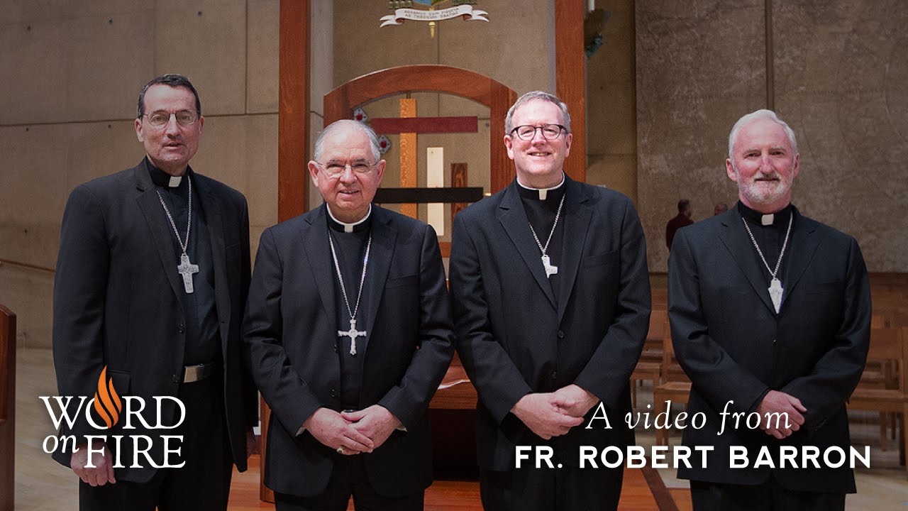 Bishop Barron on Appointment as Bishop