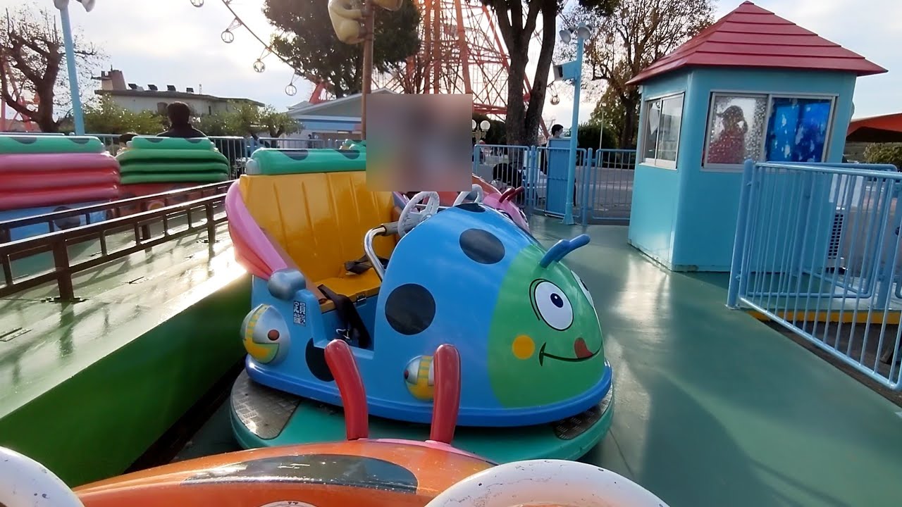 グリーンランド　レディ･バード