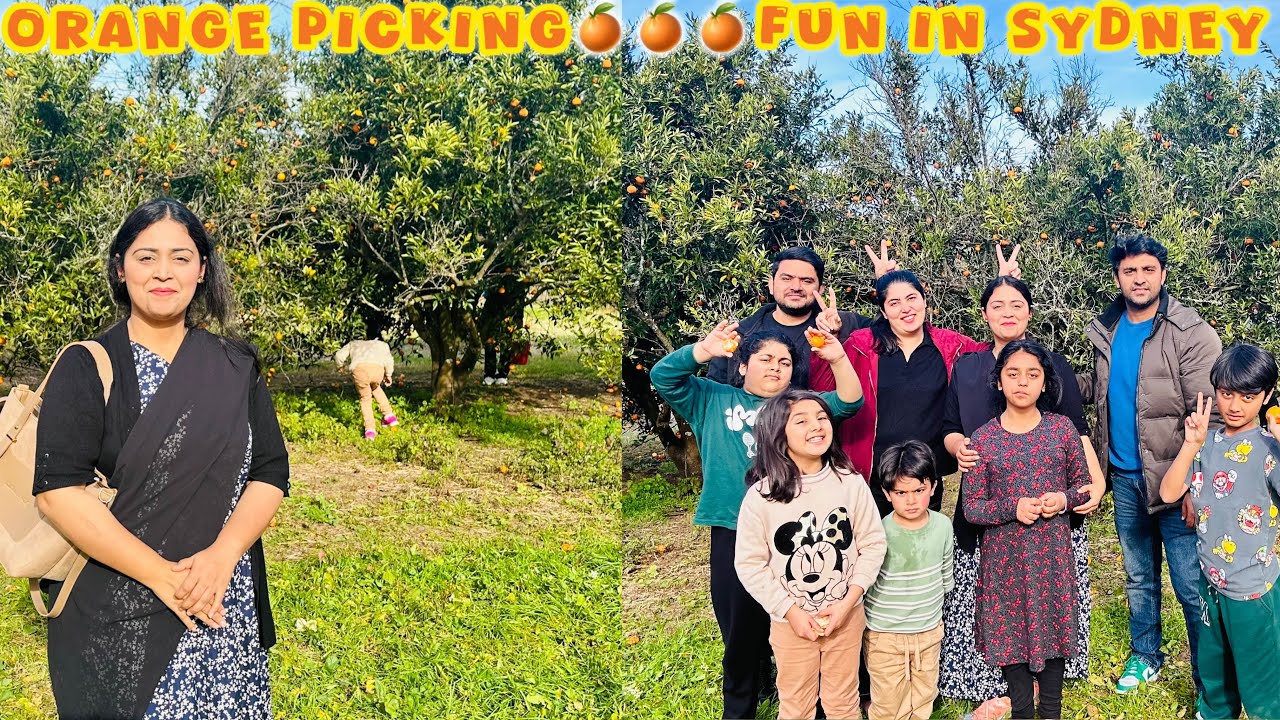 Hum Gaye Oranges Picking Karne🍊, Mazedaar Din Family Ke Saath 😍