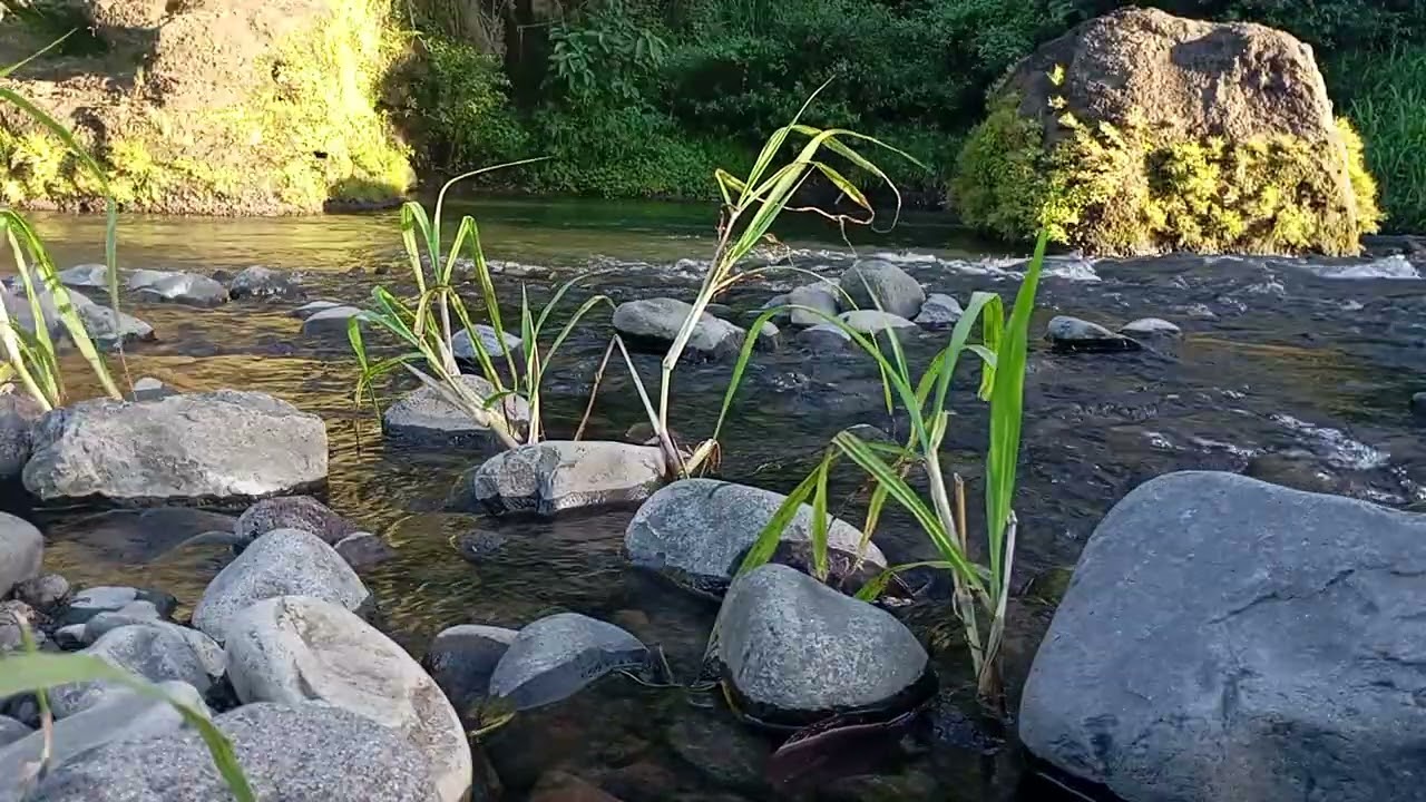 Heavy River Current in 4K – Nature Soundscape for Study & Anxiety Relief