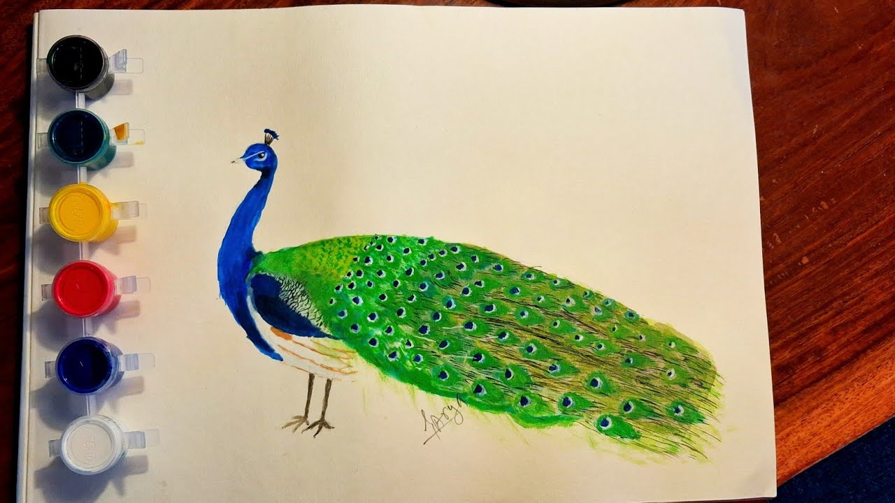 How To Draw A Peacock - Step By Step Drawing Tutorial