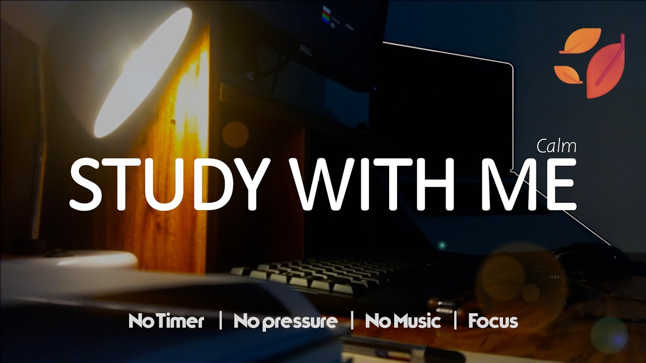 STUDY WITH ME | (No Music, No Timer) | Cozy Deep Focus