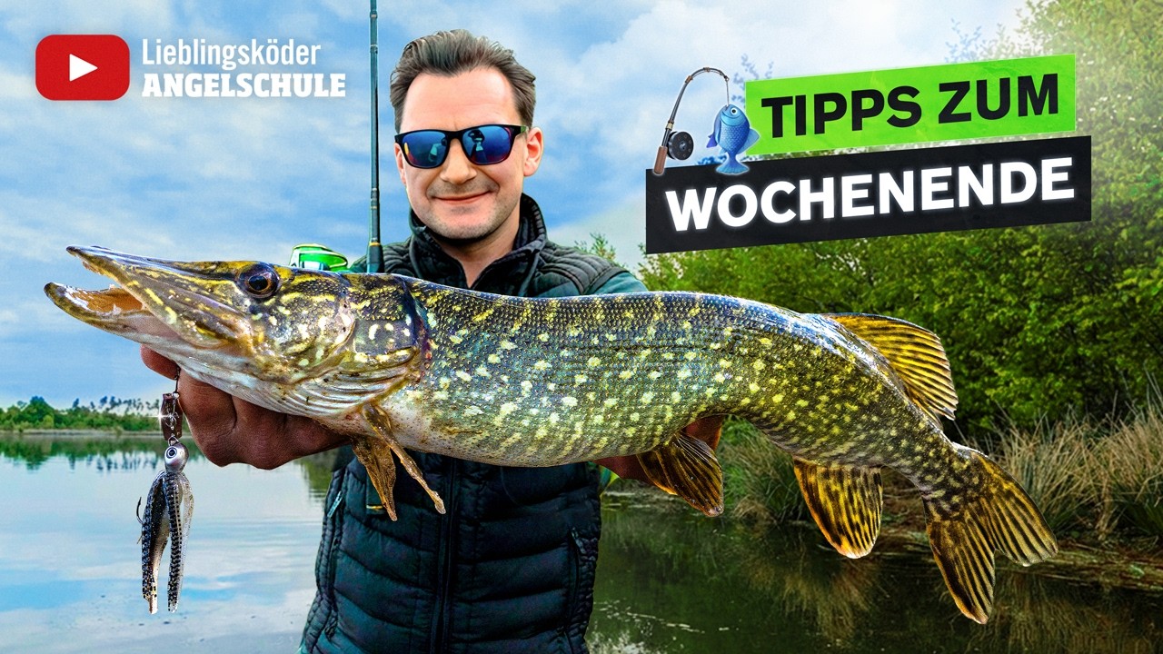 Hechtangeln im Mai - So klappt's vom Ufer 🎣🔥