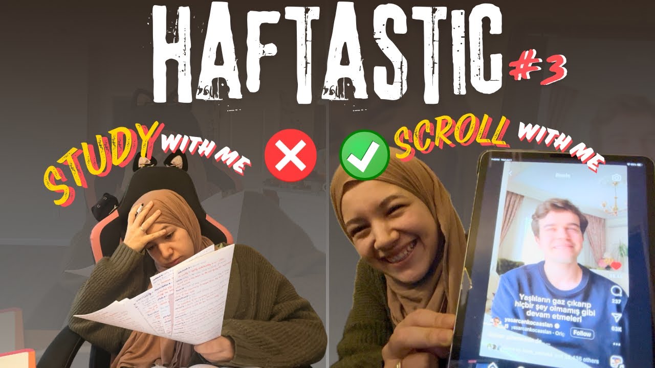 beynimin kıvrımlarında bir gezinti | TOEFL devam | Haftastic 3