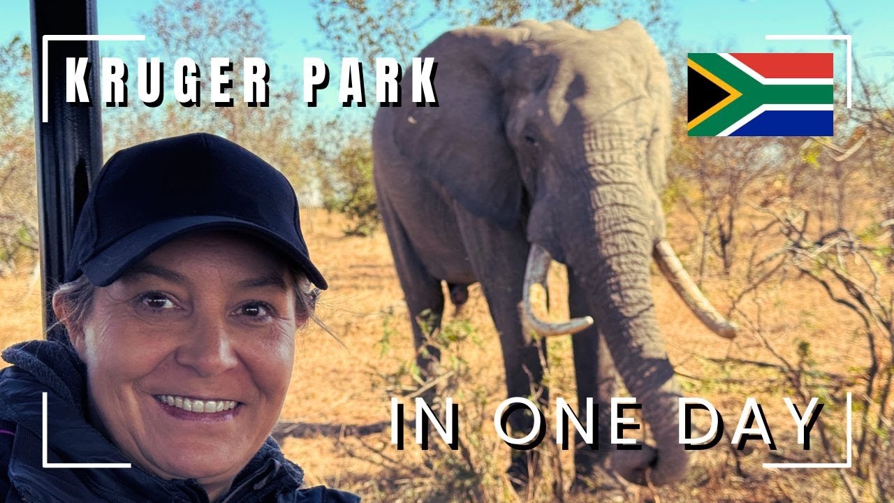 Kruger National Park Full Day Safari | South Africa