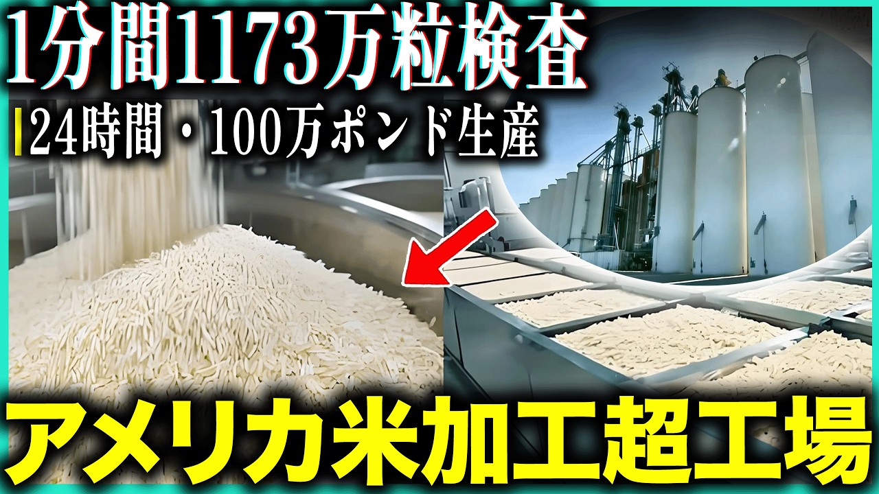 アメリカ米加工超工場見学!1分間1173万粒検査！24時間100万ポンド生産・アメリカの狂気的コメ産業の全貌