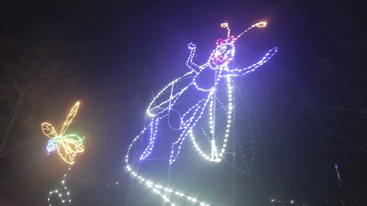 #winterfest2024 #2024 #pigeon Forge #tennessee #livinglife #trending #traveling