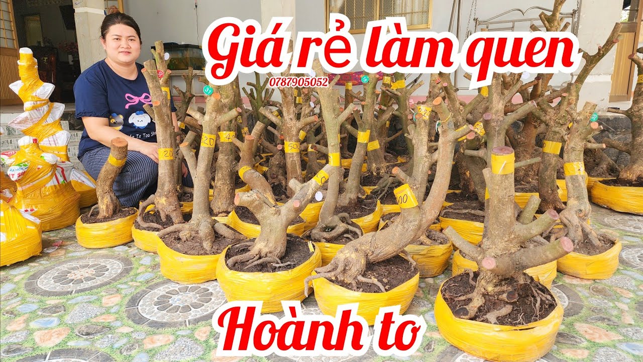 28/1 Chị Diễm 0787905052 phôi mai giảo Thủ Đức hoành to lên xù giá rẻ làm quen |MaivàngThanhTâm
