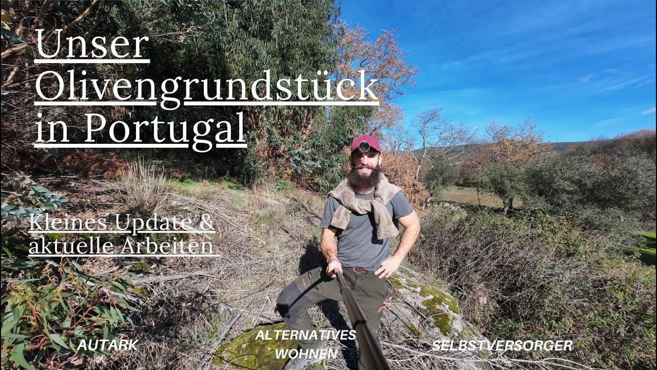 Unser Olivengrundstück in Portugal  // Was steht an? Viel Arbeit & zu wenig Zeit