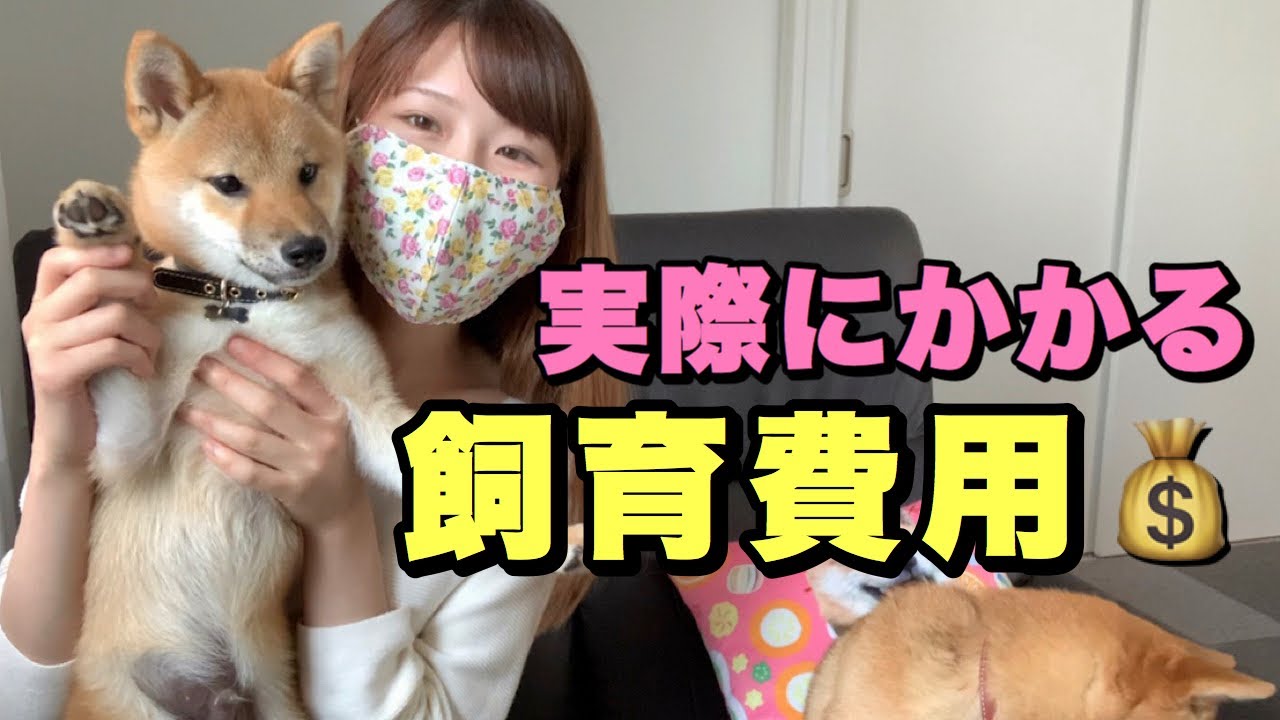 我が家のリアルな飼育費用〜犬はこれくらいお金がかかります！〜