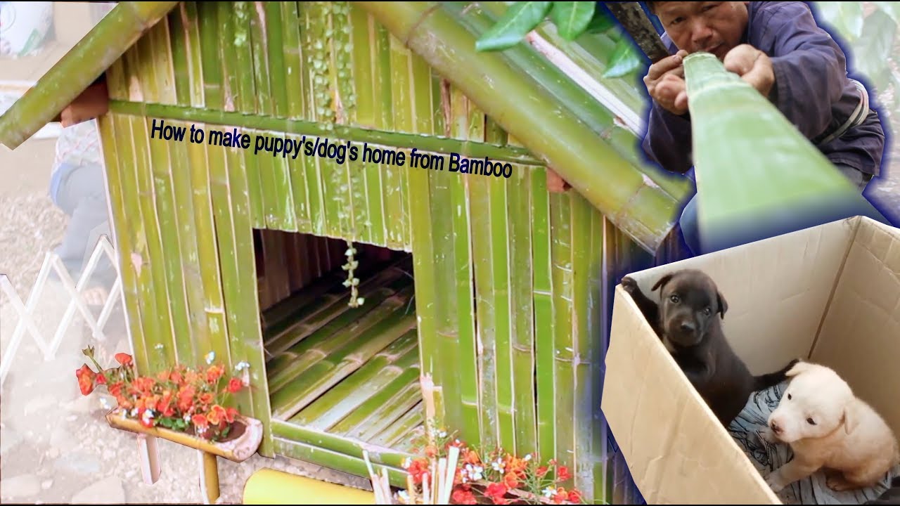 How to Build AMAZING puppy/dog home using Bamboo