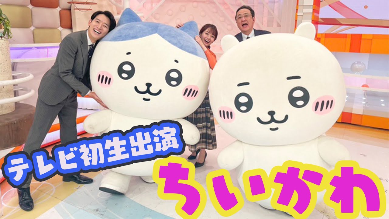 【ちいかわ】『めざましテレビ』に生出演！ハチワレにまさかの世渡り上手説が浮上⁉︎