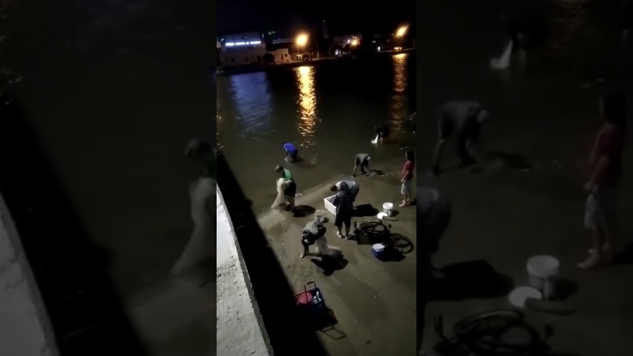 Gurizada Reunida na noite em Imb&eacute;-RS