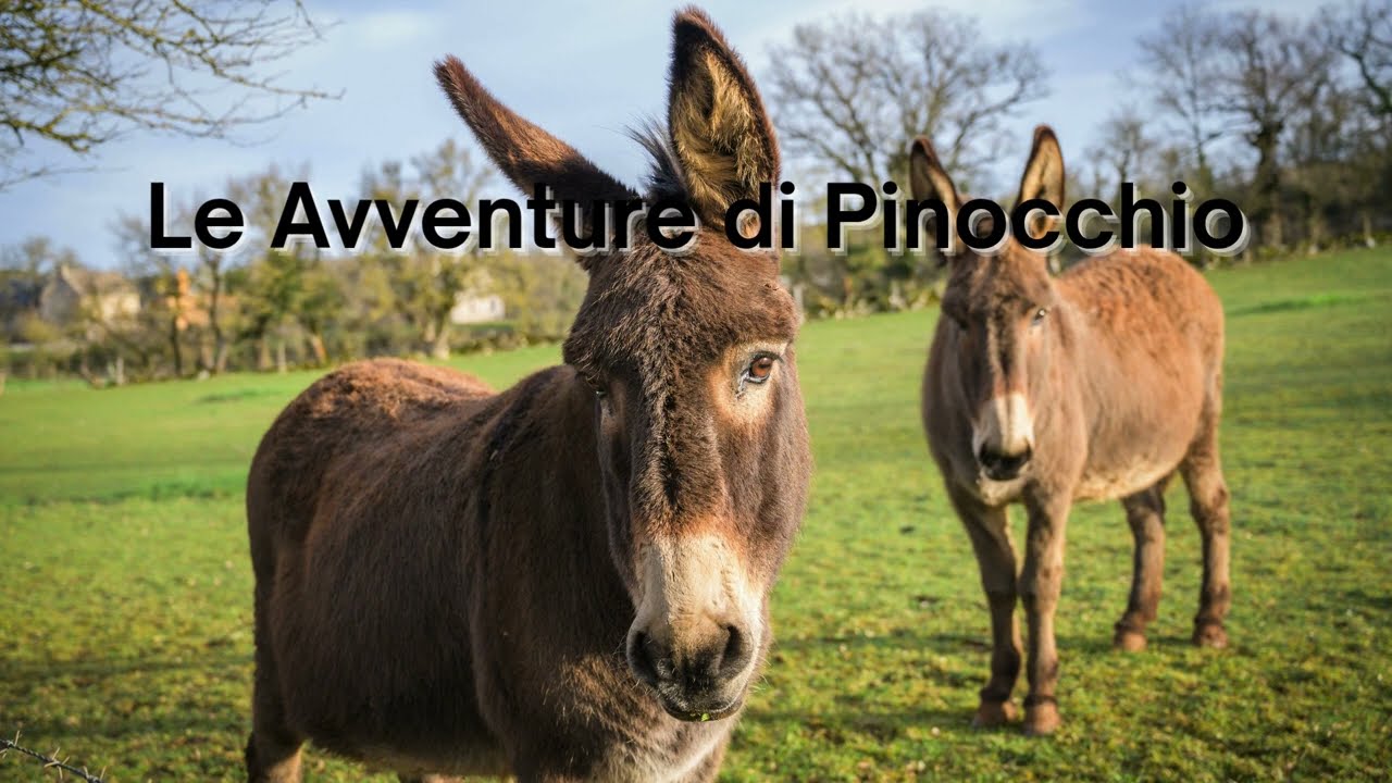 Le Avventure di Pinocchio: capitoli 30 e 31