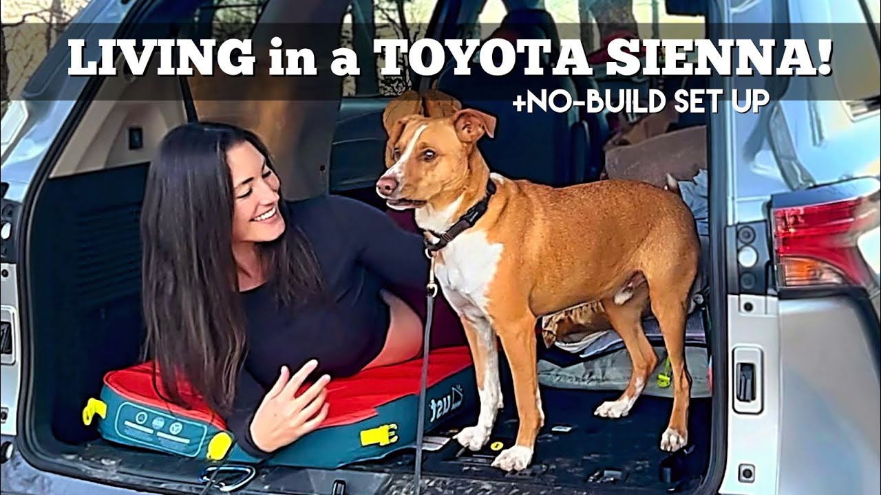 ЖИВУ в гибридном минивэне TOYOTA SIENNA! После более чем 2,5 лет жизни в Prius, эта машина станет...