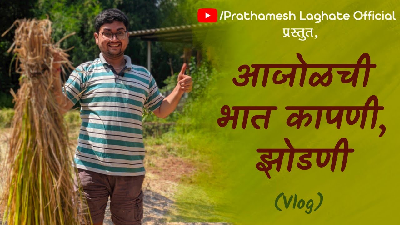 आजोळी जाऊन भात कापणी व भात झोडणीसाठी मामाला मदत केली | Prathamesh Laghate | Travel Lifestyle Vlog |