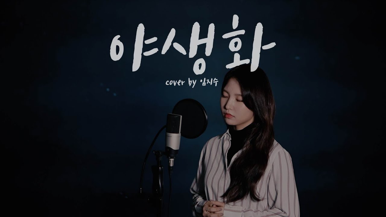 박효신 - 야생화(Wild flower) COVER by LIM JISOO(임지수)
