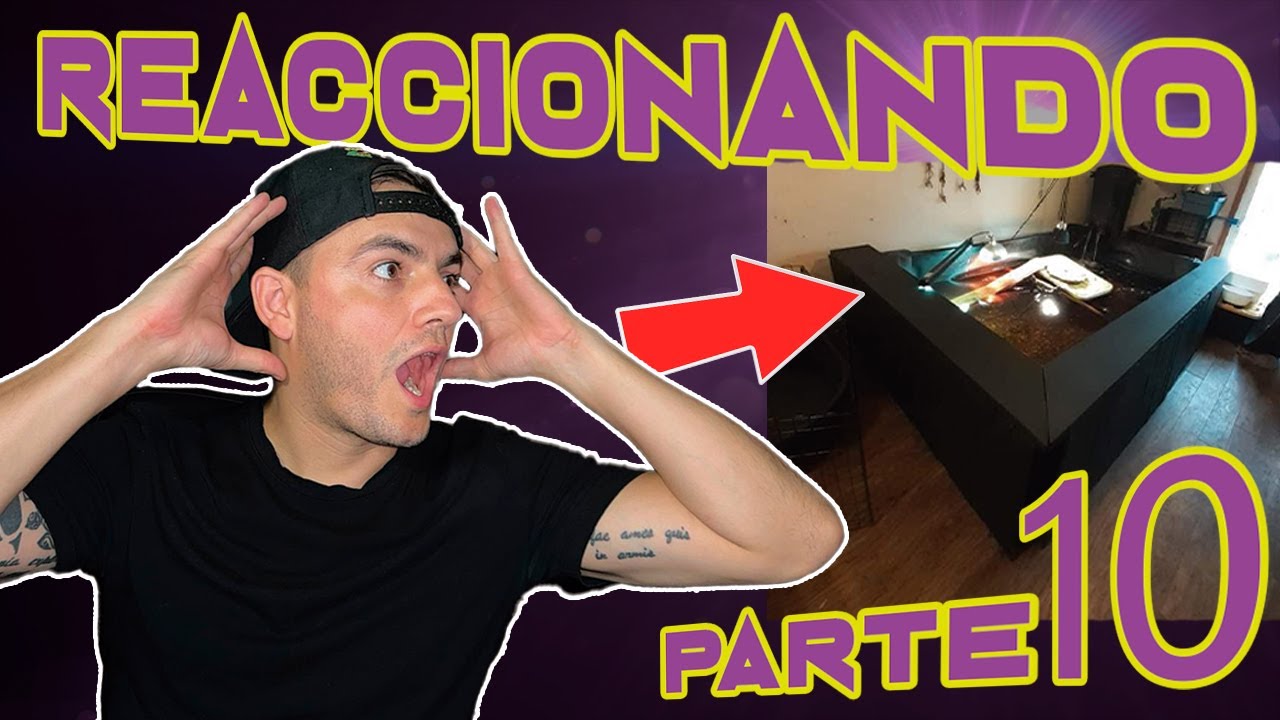 REACCIONANDO A HÁBITATS PARTE 10