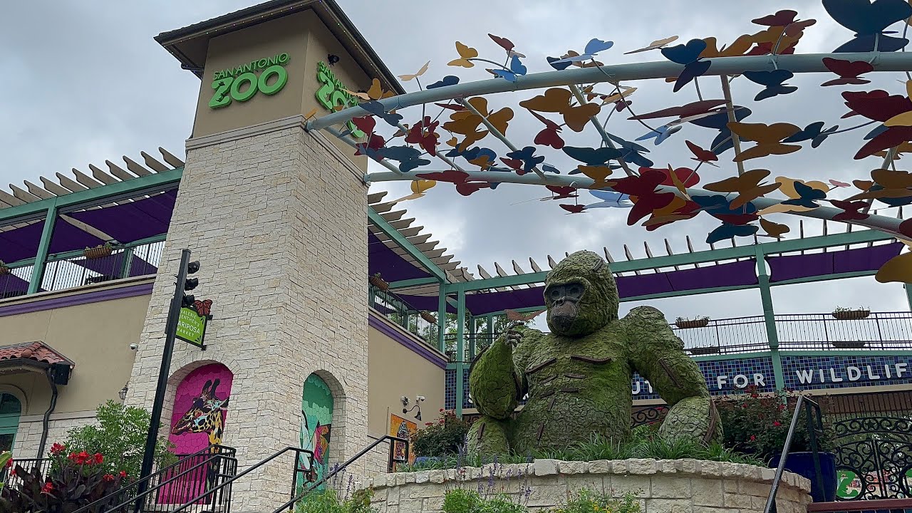 Brand New Trip to San Antonio Zoo (Full 4K Video Walkthrough)