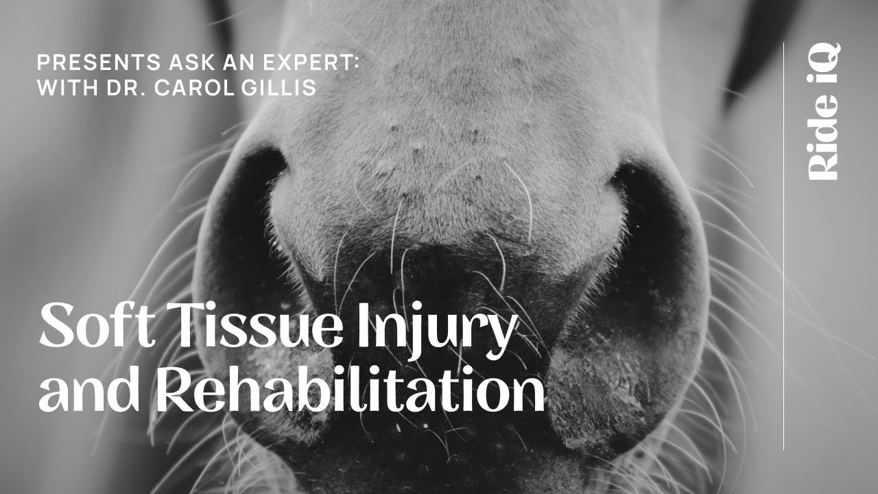 Soft Tissue Injury and Rehabilitation, with Dr. Carol Gillis