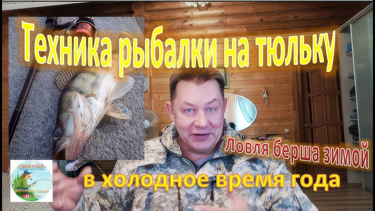 Ловля Берша зимой. Уникальные  секреты — техника рыбалки на тюльку.