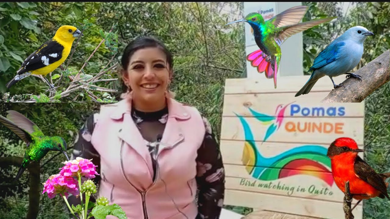 POMASQUINDE el secreto mejor guardado de POMASQUI
