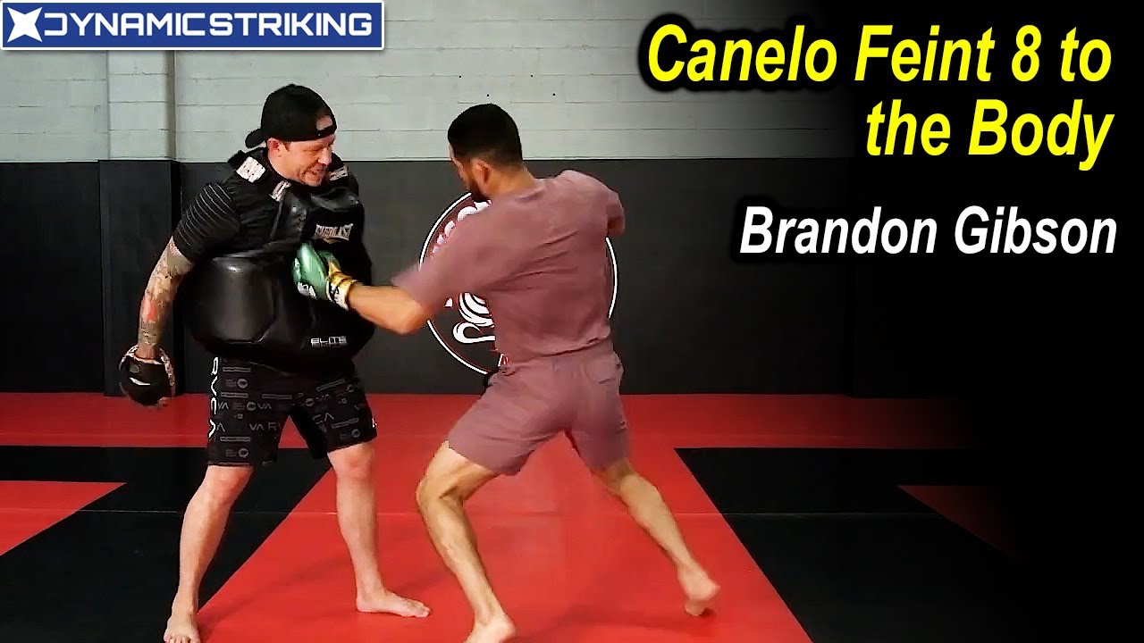 Canelo Feint 8 to the Body by Brandon Gibson