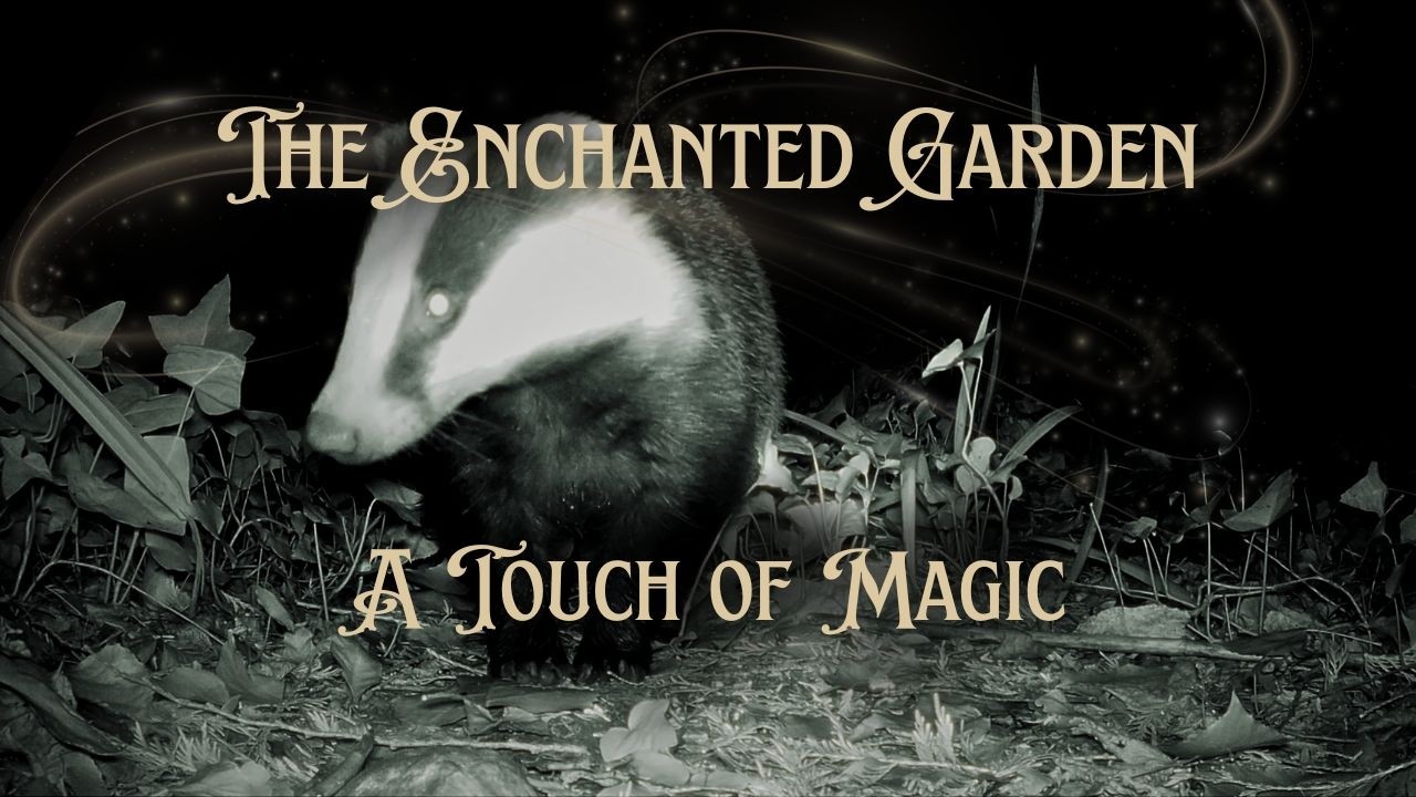 A Magical Autumn Bedtime Story ✨ Gentle Garden Mystery for Children