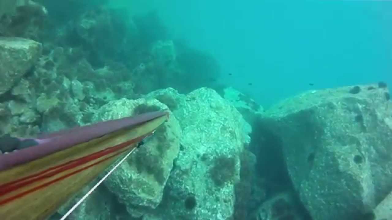 Pescasub con Predator  