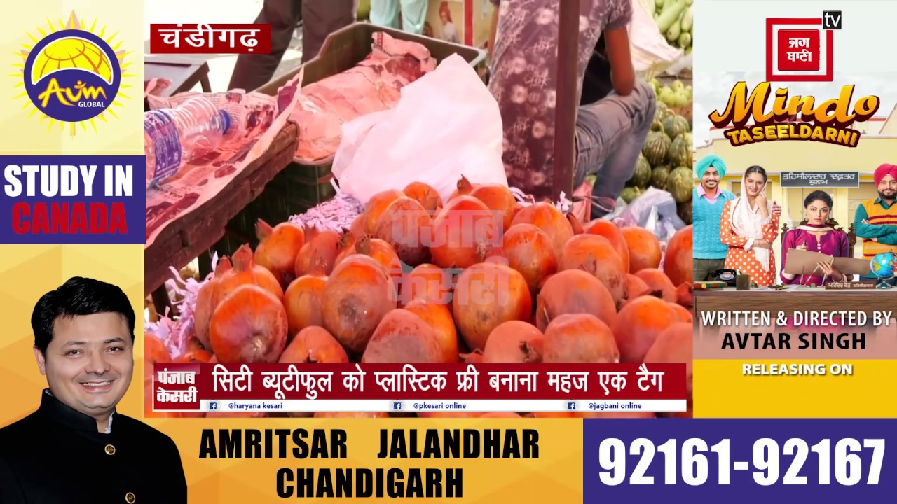 PLASTIC BAN PKG PUNJAB