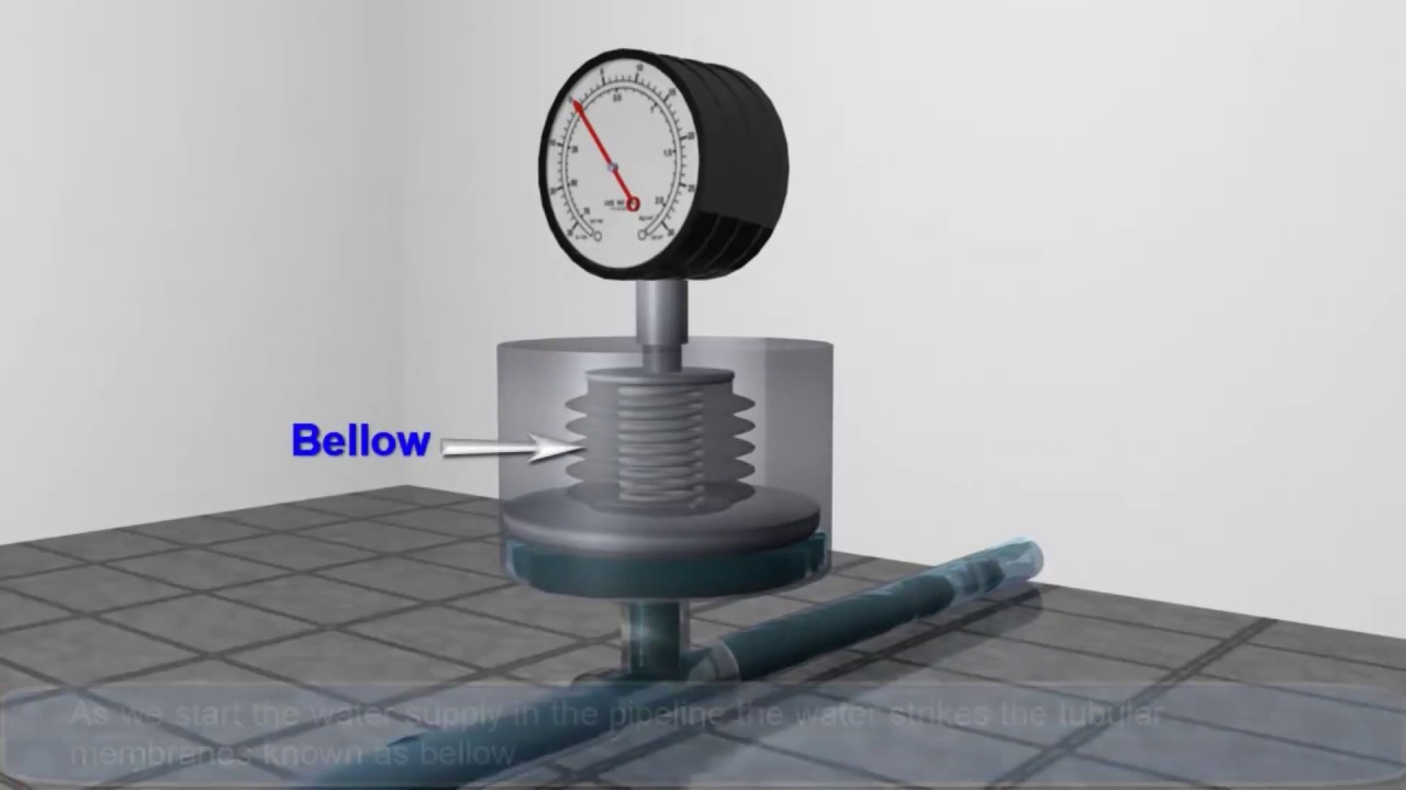 Bellow Pressure Gauge